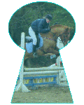 Enseignement  poneys (jeunes et adultes)